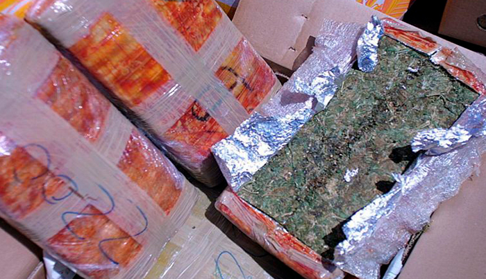 Aseguran 600 kilos de marihuana en Guadalajara, Jalisco