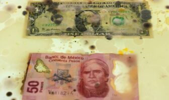Noticias de Puerto Vallarta | NotiespacioPV | Los billetes concentran hasta 3.000 tipos de microbios