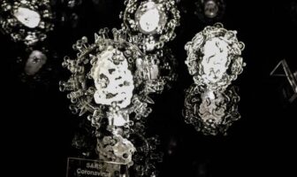 Noticias de Puerto Vallarta | NotiespacioPV | Confirman caso en Yucatán de coronavirus 'común'