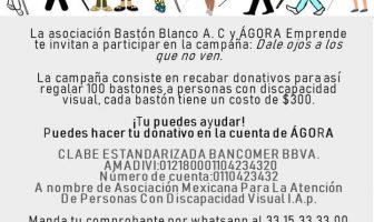Noticias de Puerto Vallarta | NotiespacioPV | Convocan a donativos para bastones para personas con discapacidad visual