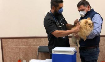 Noticias de Puerto Vallarta | NotiespacioPV | Del 20 al 26 de septiembre vacunación gratuita contra rabia para perros y gatos