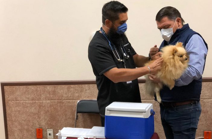 Noticias de Puerto Vallarta | NotiespacioPV | Del 20 al 26 de septiembre vacunación gratuita contra rabia para perros y gatos
