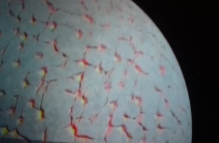Noticias de Puerto Vallarta | NotiespacioPV | La NASA reporta que la luna contiene más agua de lo que se creía