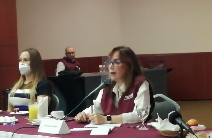 Noticias de Puerto Vallarta | NotiespacioPV | Ve Yeidckol Polevnsky interés de dañar su imagen en acusaciones