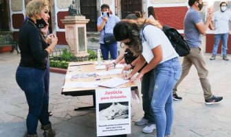 Noticias de Puerto Vallarta | NotiespacioPV | Por quitarle la vida a un gato, lo multan con 100 mil pesos