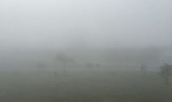 Noticias de Puerto Vallarta | NotiespacioPV | Densa neblina tapa la visibilidad esta mañana al sur de la ciudad
