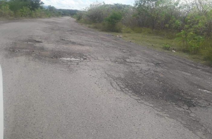 Noticias de Puerto Vallarta | NotiespacioPV | Agencia Tebelchía en Vallarta, en abandono por la autoridad municipal