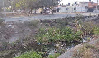 Noticias de Puerto Vallarta | NotiespacioPV | Jaime Cuevas abandona a vecinos de Valle Dorado y los expone al dengue