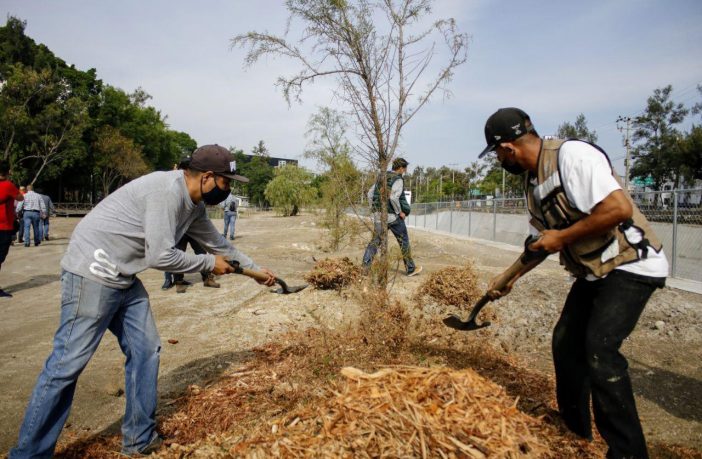 Noticias de Puerto Vallarta | NotiespacioPV | Reforestación en GDL planea llegar a 55 mil árboles