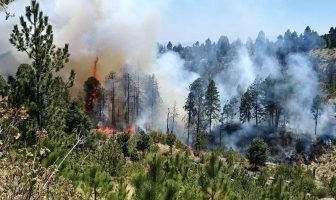 Noticias de Puerto Vallarta | NotiespacioPV | Combaten incendio en Cerro de El Colli en Zapopan
