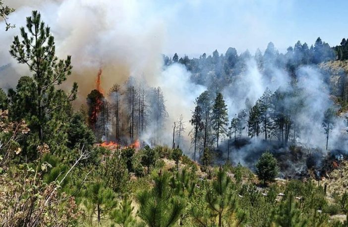 Noticias de Puerto Vallarta | NotiespacioPV | Combaten incendio en Cerro de El Colli en Zapopan