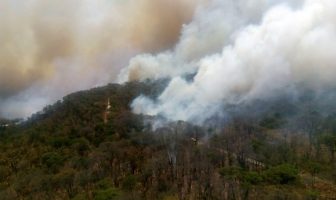 Noticias de Puerto Vallarta | NotiespacioPV | Combaten 350 elementos incendio forestal en paraje Las Canoas