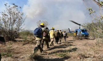 Noticias de Puerto Vallarta | NotiespacioPV | Al menos 15 brigadistas heridos durante combate a incendio en La Primavera