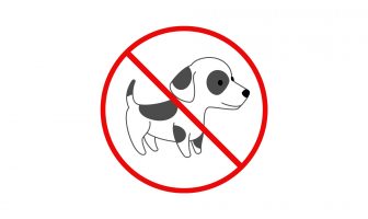 Noticias de Puerto Vallarta | NotiespacioPV | Impedirá Unibus acceso a las mascotas a sus unidades