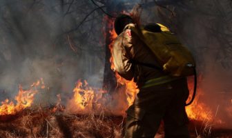 Noticias de Puerto Vallarta | NotiespacioPV | Hasta 10 incendios activos hay en Jalisco actualmente