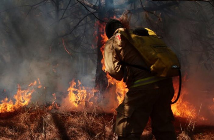 Noticias de Puerto Vallarta | NotiespacioPV | Hasta 10 incendios activos hay en Jalisco actualmente