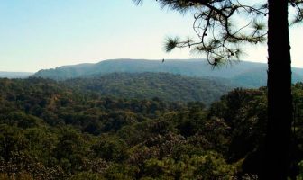 Noticias de Puerto Vallarta | NotiespacioPV | Gobierno Federal ponen en venta 6 predios del Bosque de la Primavera