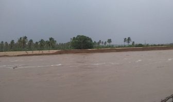 Noticias de Puerto Vallarta | NotiespacioPV | Deja saldo blanco huracán Enrique en su paso frente a Jalisco