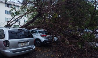 Noticias de Puerto Vallarta | NotiespacioPV | Un vehículo dañado deja la primera tormenta de la temporada
