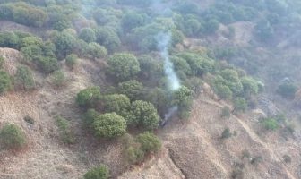 Noticias de Puerto Vallarta | NotiespacioPV | Dan un año de prisión a detenido por prender fuego en La Primavera