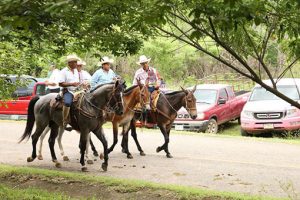 Y volvió a pasar, anulan las tradicionales "Paseadas" Noticias de Puerto Vallarta | NotiespacioPV | Y volvió a pasar, anulan las tradicionales "Paseadas"