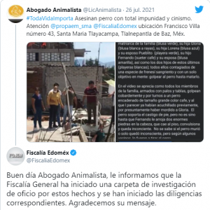 Noticias de Puerto Vallarta | NotiespacioPV | Familia se reúne para asesinar a un perro en el Estado de México
