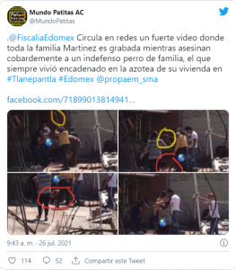 Noticias de Puerto Vallarta | NotiespacioPV | Familia se reúne para asesinar a un perro en el Estado de México