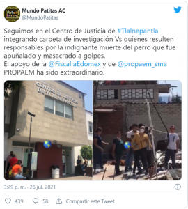 Noticias de Puerto Vallarta | NotiespacioPV | Familia se reúne para asesinar a un perro en el Estado de México