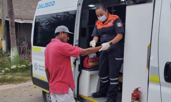 Noticias de Puerto Vallarta | NotiespacioPV | Un enjambre de abejas atacó a 4 personas y 2 perros