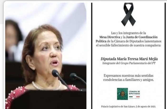 Por Covid-19, muere la diputada petista María Teresa Marú Mejía