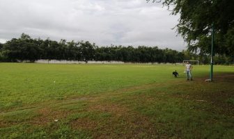 Noticias de Puerto Vallarta | NotiespacioPV | Pretenden regidores de Vallarta despojar de un parque a la ciudadanía