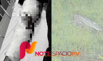 Noticias de Puerto Vallarta | NotiespacioPV | Ataca cocodrilo a turista en Nuevo Vallarta