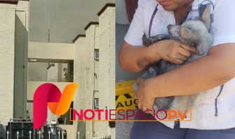 Noticias de Puerto Vallarta | NotiespacioPV | Incendio en el Sheraton Buganvilias; se desconocen aún las causas