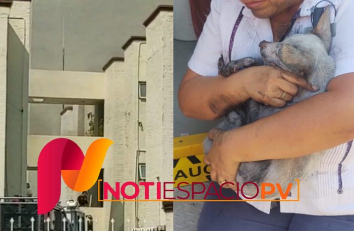 Noticias de Puerto Vallarta | NotiespacioPV | Incendio en el Sheraton Buganvilias; se desconocen aún las causas