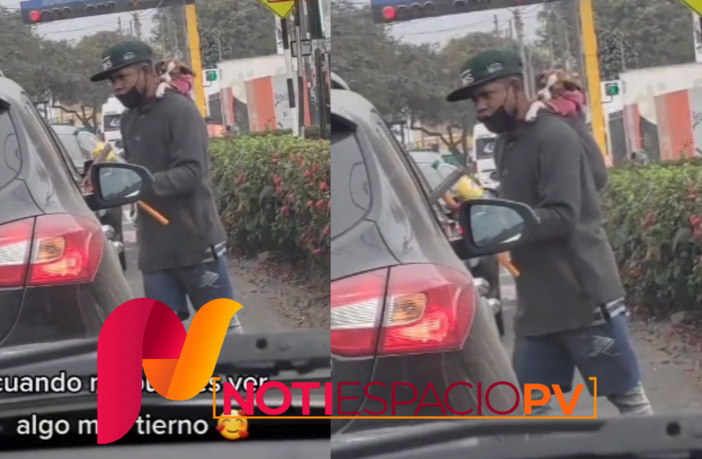 Noticias de Puerto Vallarta | NotiespacioPV | Joven se hace viral por cargar a su perrito en la espalda mientras trabaja de limpiaparabrisas