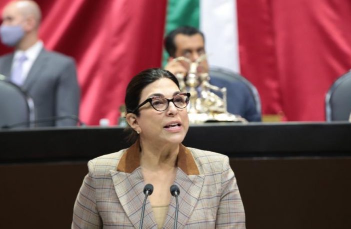 Noticias de Puerto Vallarta | NotiespacioPV | Diputada del PRI va por prisión preventiva a manifestantes