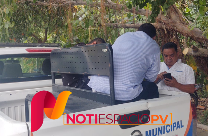 Noticias de Puerto Vallarta | NotiespacioPV | Detienen a "los mostaceros" en plaza Genovesa