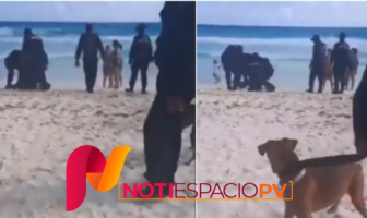 Noticias de Puerto Vallarta | NotiespacioPV | Cancún: Policías detienen a hombre porque paseaba a su perro en la playa