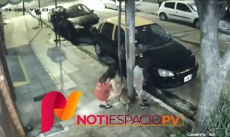 Noticias de Puerto Vallarta | NotiespacioPV | Abandona a su perro en navidad y causa la indignación de los internautas