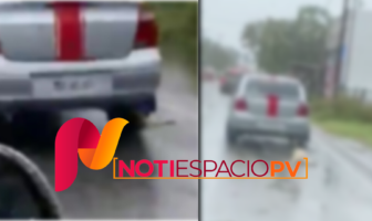 Noticias de Puerto Vallarta | NotiespacioPV | VIDEO FUERTE: Perrito es maltratado en Tabasco, denuncian a agresores