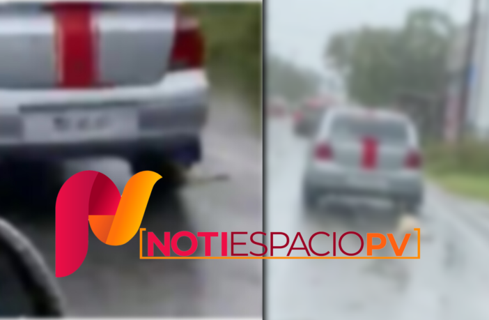 Noticias de Puerto Vallarta | NotiespacioPV | VIDEO FUERTE: Perrito es maltratado en Tabasco, denuncian a agresores