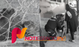 Noticias de Puerto Vallarta | NotiespacioPV | Riña entre dos masculinos en la 1 de mayo; ambos lesionados y un can muerto