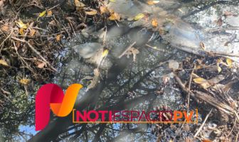 Notiespacio PV | A casi 3 años del derrame de aguas negras al estero el salado, todo quedo en una "recomendación"