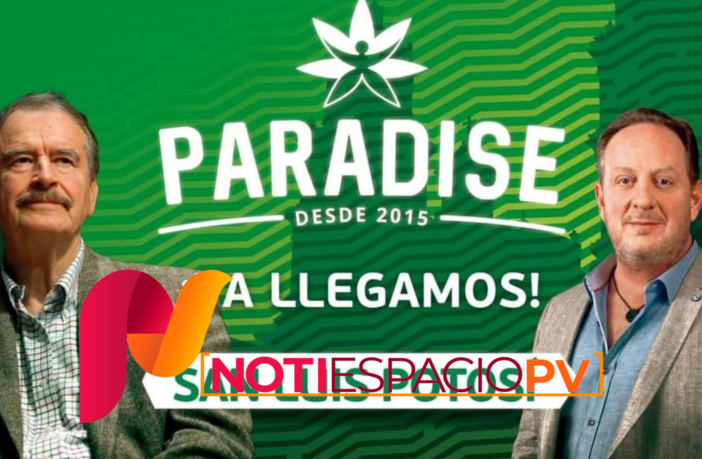 Noticias de Puerto Vallarta | NotiespacioPV | Paradise Shop la empresa de cannabis de Fox y Palazuelos se sigue expandiendo