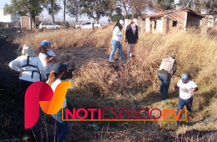 Noticias de Puerto Vallarta | NotiespacioPV | Madres Buscadoras logran encontrar 20 cuerpos y 9 casas con restos en Jalisco