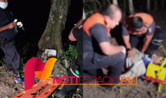 Notiespacio PV | Masculino cae de un árbol en la colonia Vista Hermosa
