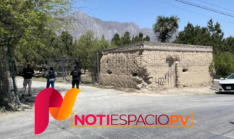 Notiespacio PV | Hallan ganado de alta genética y caballos pura sangre en rancho de "El Bronco"