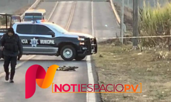 Noticias de Puerto Vallarta | NotiespacioPV | Atropellan a abuelito dejando su cuerpo sobre la carretera Tepic-Camichín de Jauja