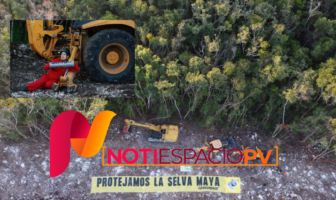 Notiespacio PV | Activistas de Greenpeace se atan a máquinas para detener obras del Tren Maya