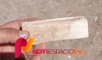 Notiespacio PV | Madres de desaparecidos en Sonora hallan restos humanos en fosas